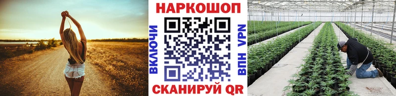 Наркошоп купить Гашиш  A-PVP  Амфетамин  Канабис  Cocaine  МЕФ  Абаза