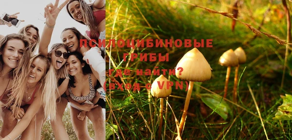 молекула духа Балахна