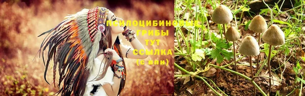 mdpv Балабаново