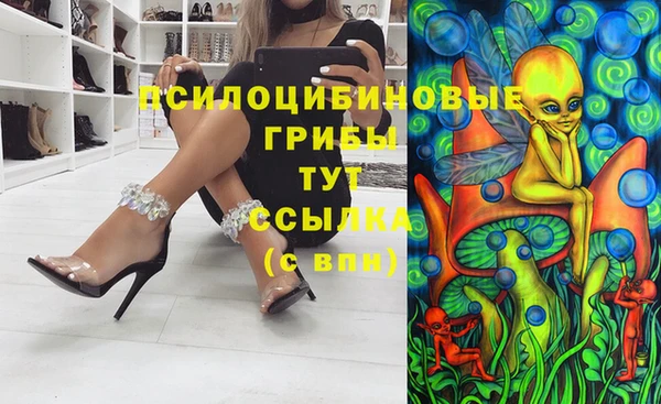 молекула духа Балахна