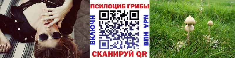 Псилоцибиновые грибы Psilocybine cubensis  Купить  Абаза 